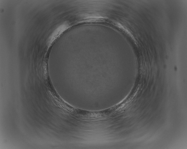 X0000070191362200605301302