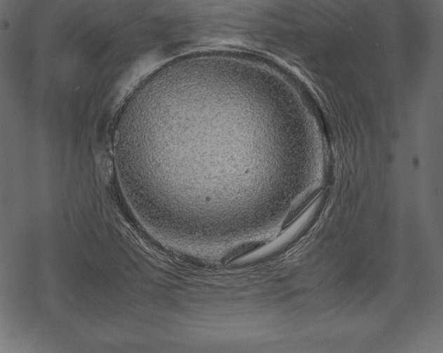 X0000070191363200605301302