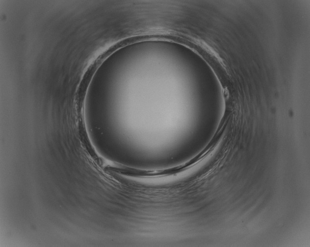 X0000070191364200605301302