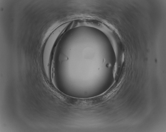 X0000070191365200605301302