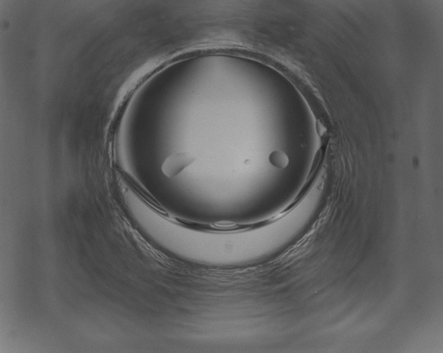 X0000070191366200605301302