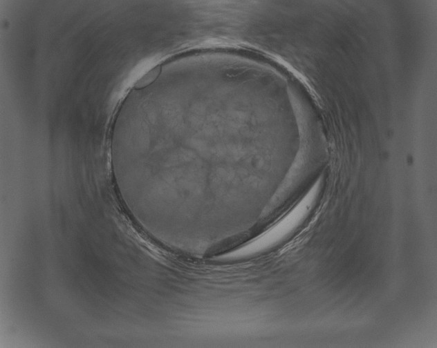 X0000070191367200605301302