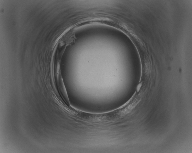 X0000070191369200605301302