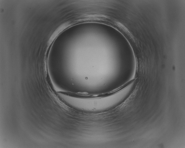 X0000070191370200605301302