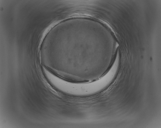 X0000070191371200605301302