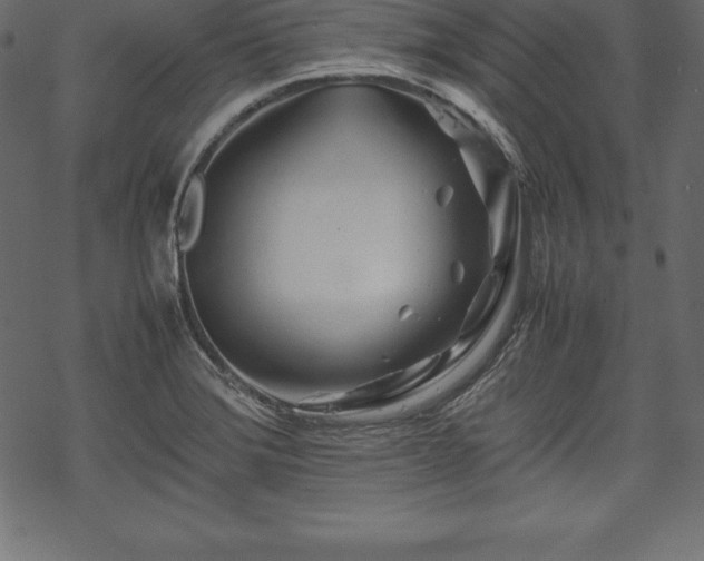 X0000070191372200605301302