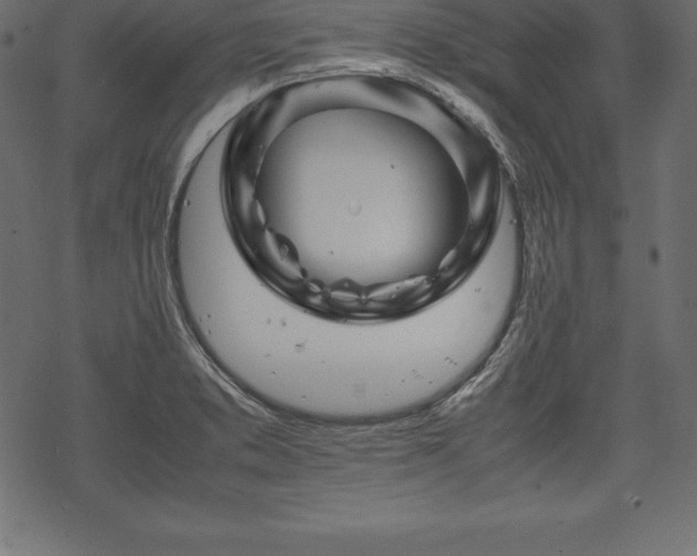 X0000070191373200605301302