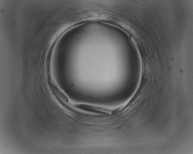 X0000070191375200605301302