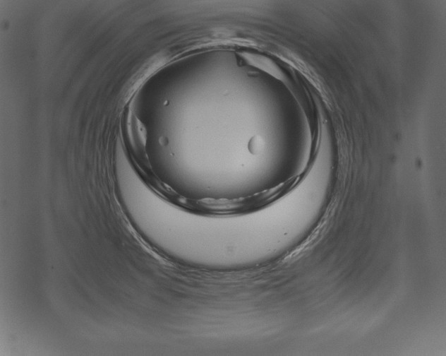 X0000070191377200605301302