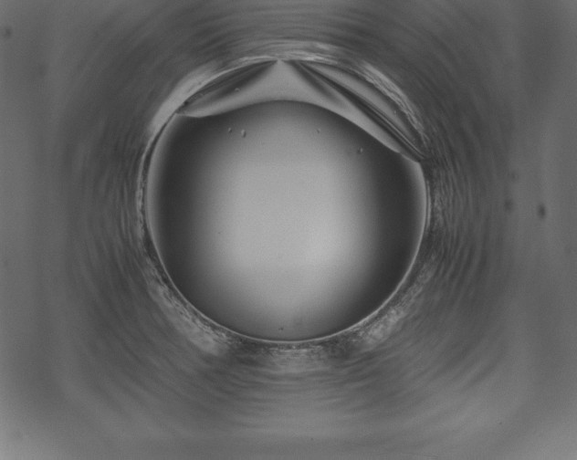 X0000070191378200605301302