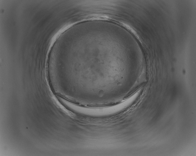 X0000070191379200605301302