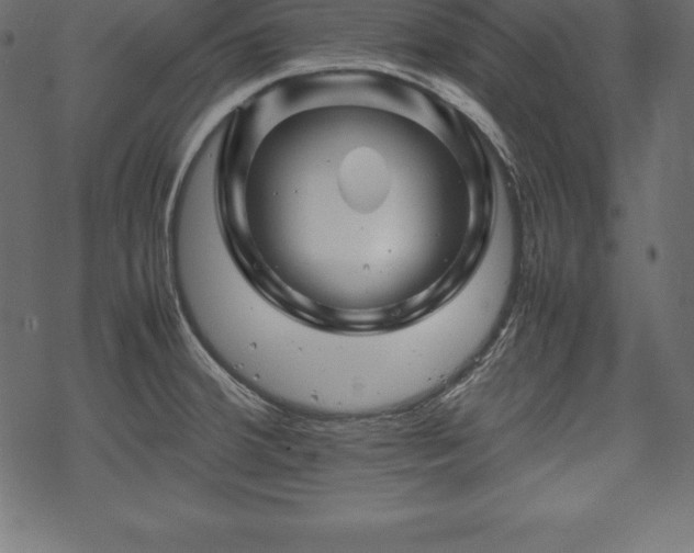 X0000070191380200605301302