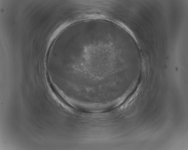 X0000070191381200605301302