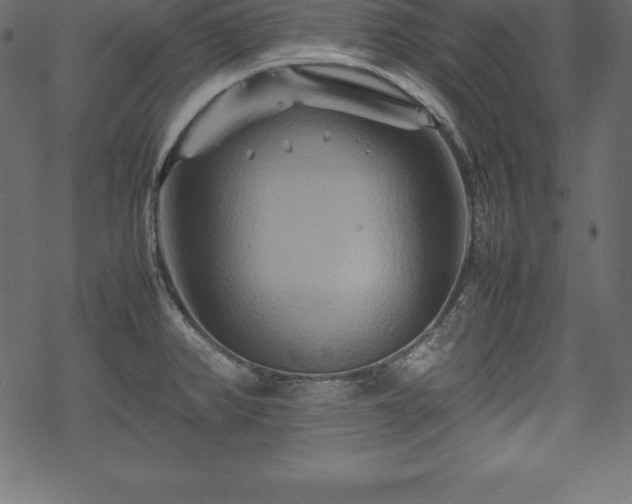 X0000070191382200605301302