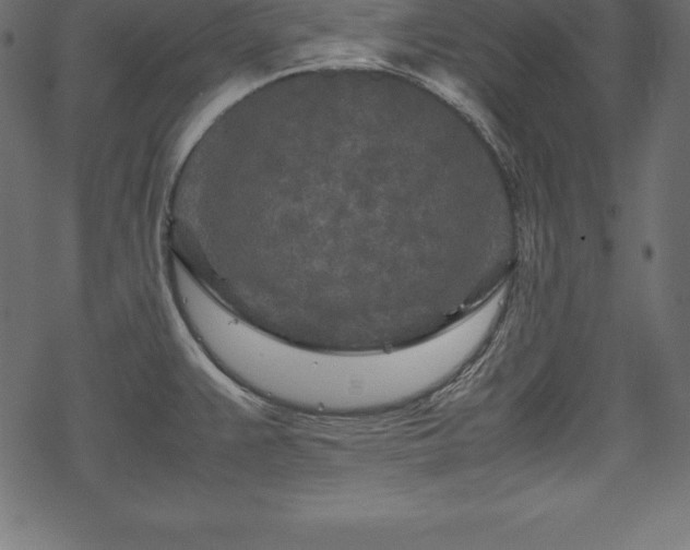 X0000070191383200605301302