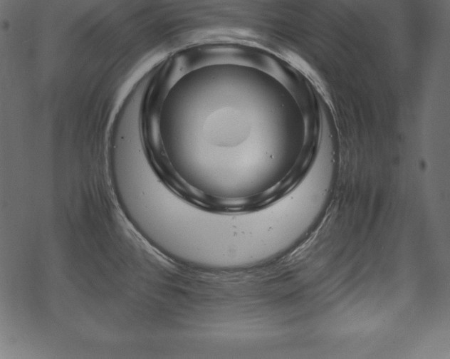 X0000070191384200605301302