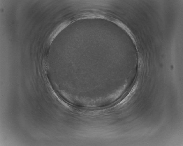 X0000070191385200605301302