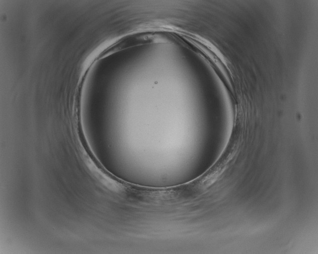 X0000070191387200605301302