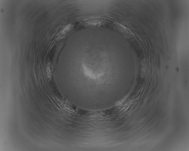 X0000070191394200605301301