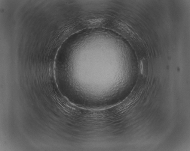 X0000070191395200605301301