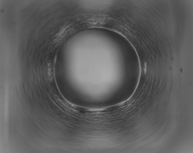 X0000070191396200605301301