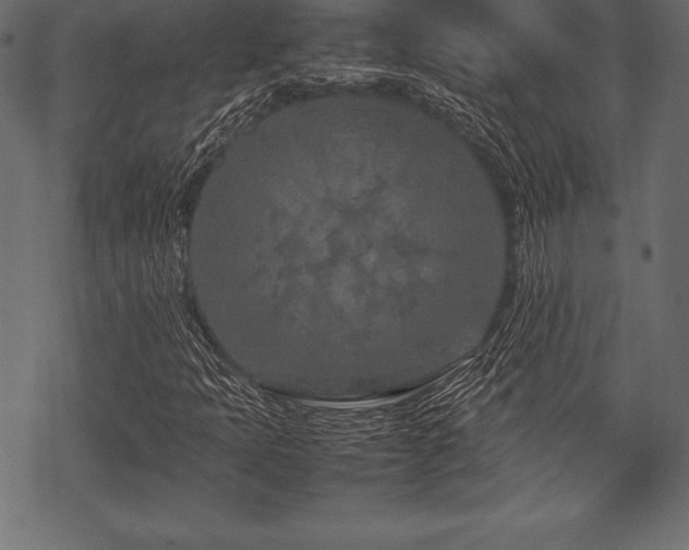 X0000070191397200605301301