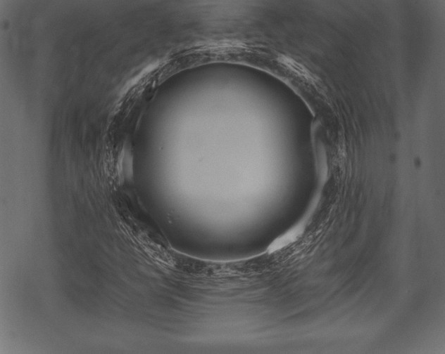 X0000070191398200605301301