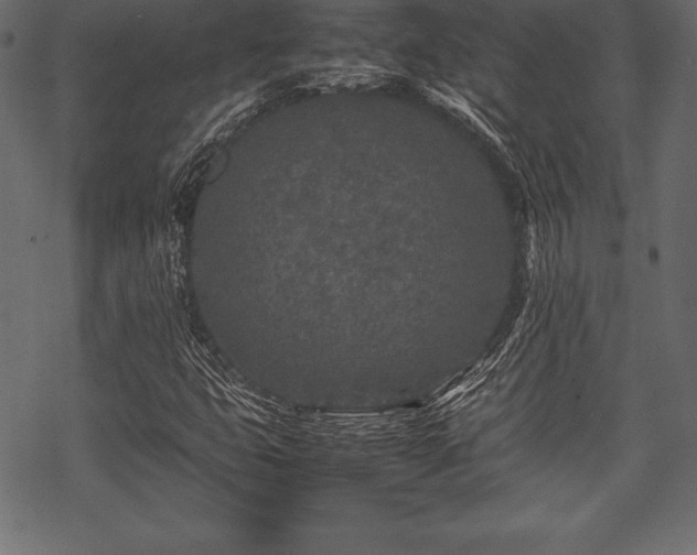 X0000070191399200605301301