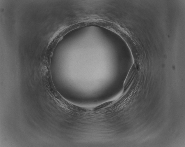 X0000070191400200605301301