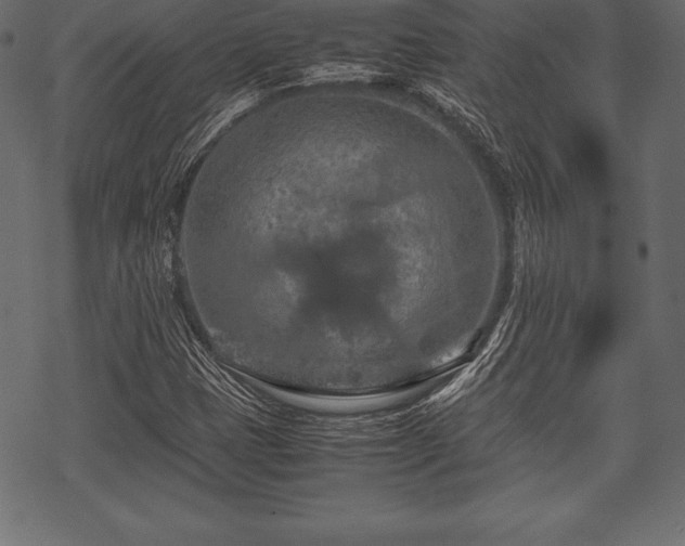 X0000070191401200605301301