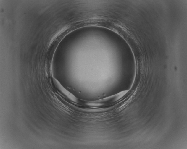 X0000070191402200605301301