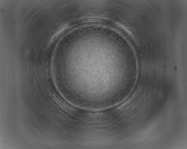 X0000070191403200605301301