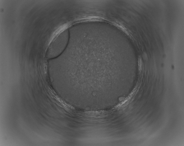 X0000070191405200605301301