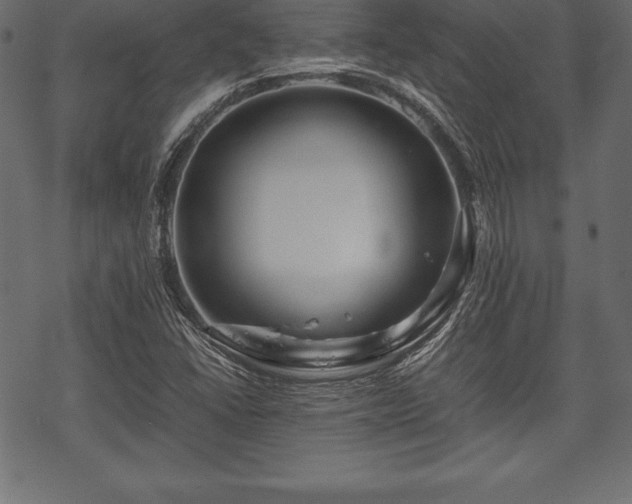 X0000070191406200605301301