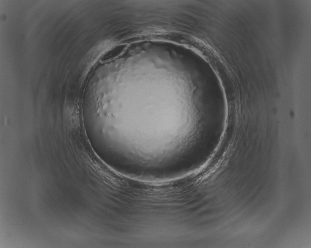 X0000070191409200605301301