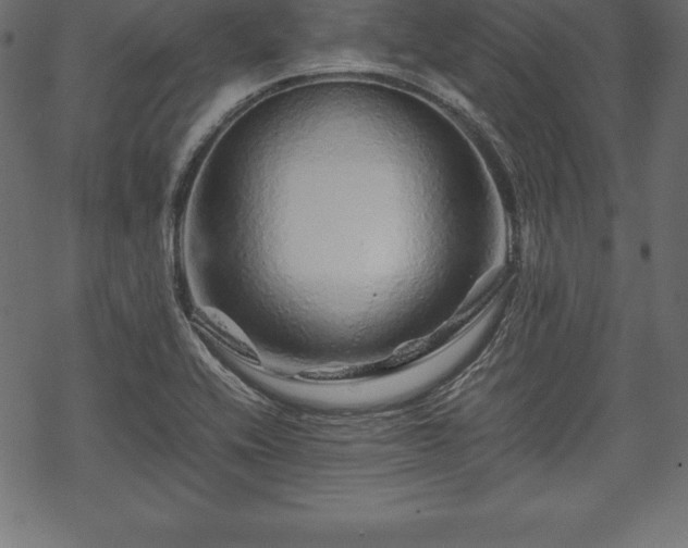 X0000070191416200605301301