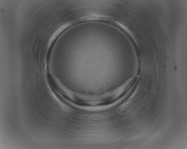 X0000070191418200605301301