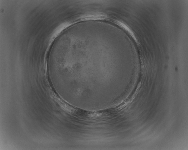 X0000070191419200605301301