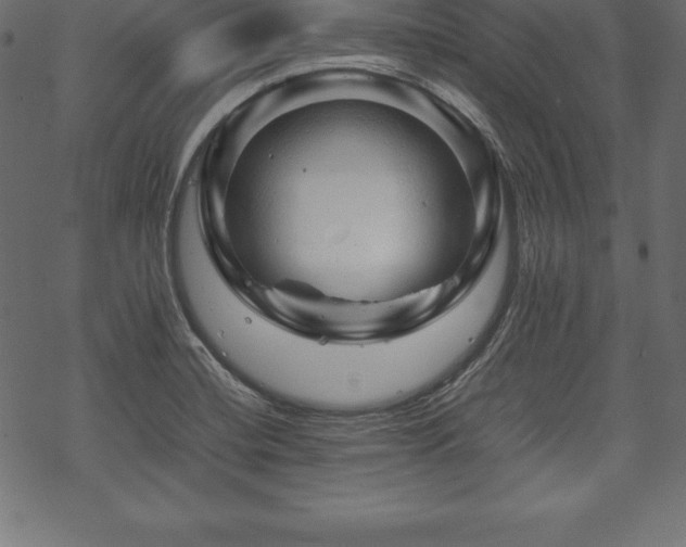 X0000070191420200605301301