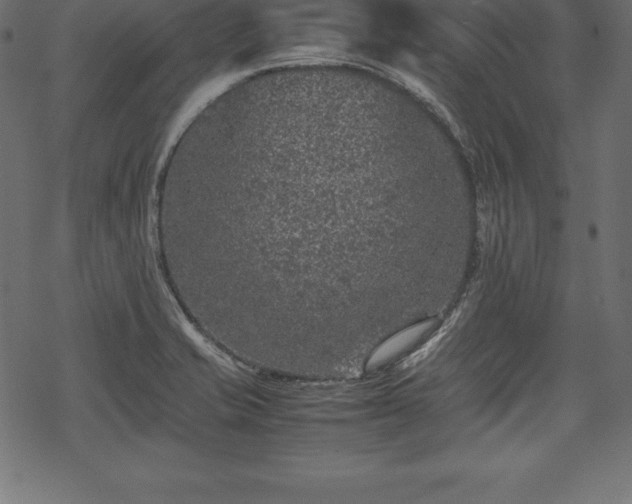 X0000070191421200605301301