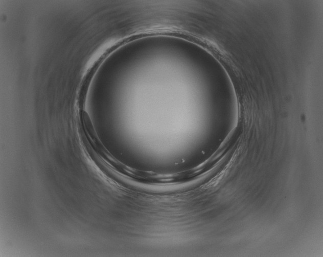 X0000070191422200605301301