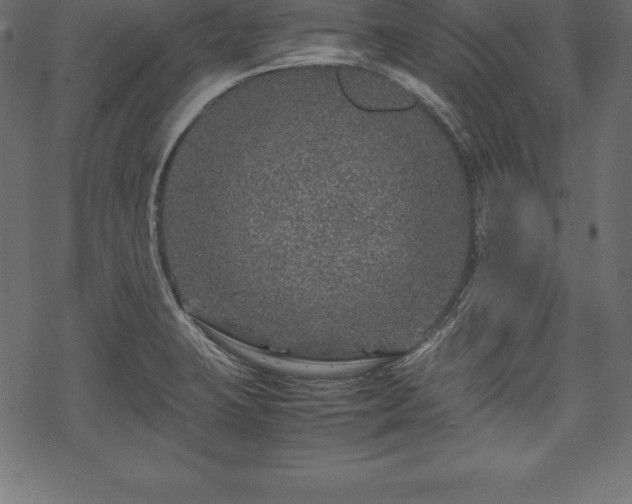 X0000070191423200605301301