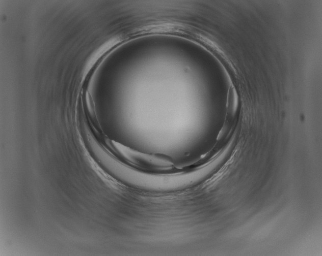 X0000070191426200605301301