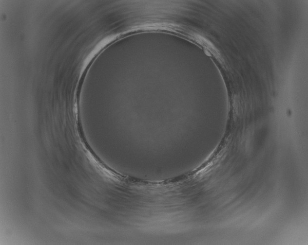 X0000070191428200605301301