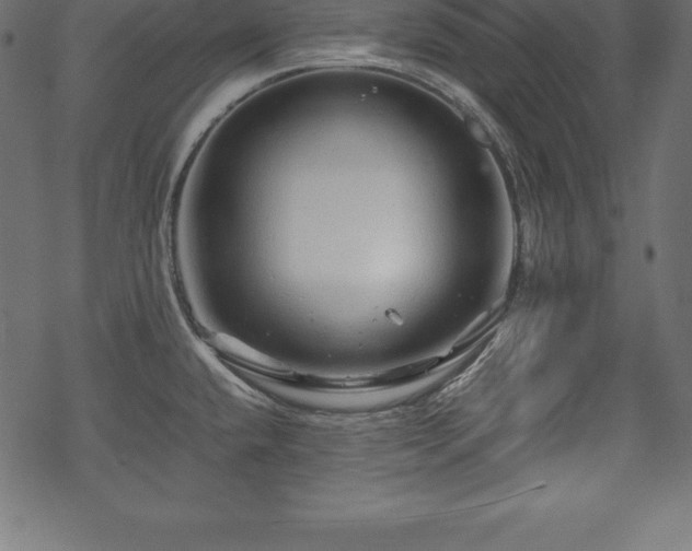 X0000070191432200605301301