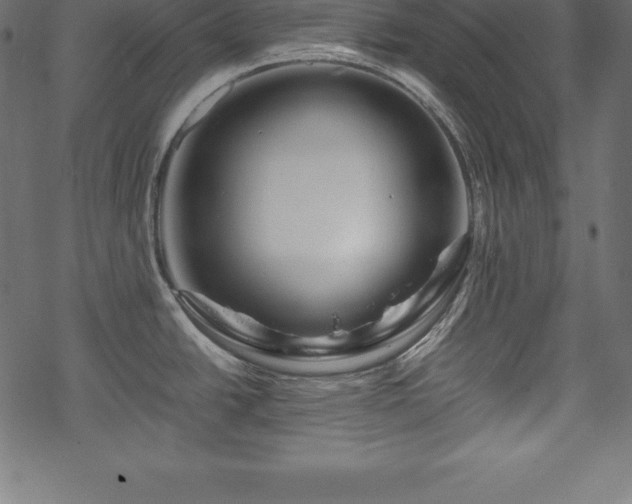 X0000070191438200605301301