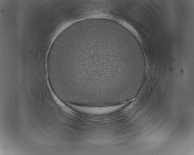 X0000070191439200605301301