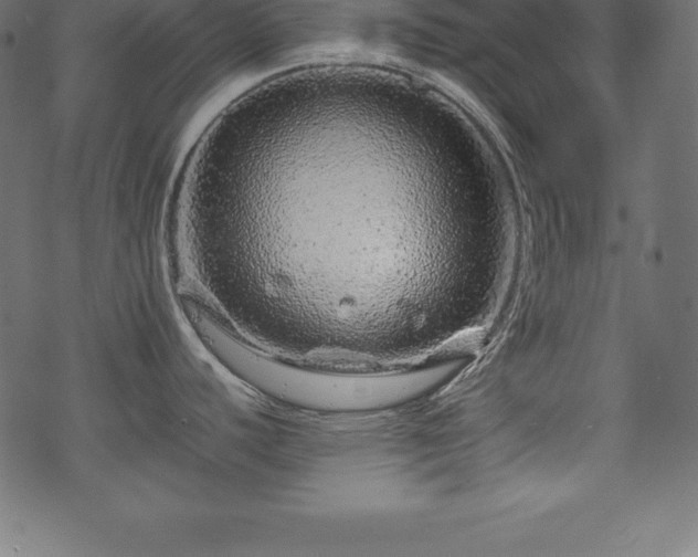 X0000070191440200605301301