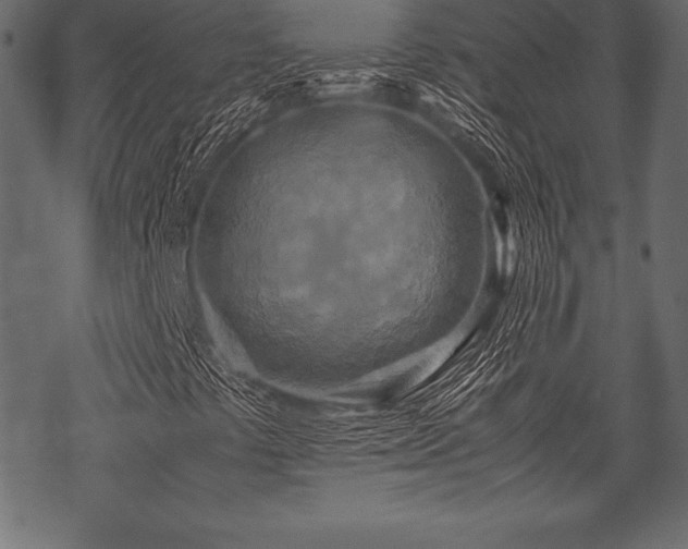 X0000070191441200605301301