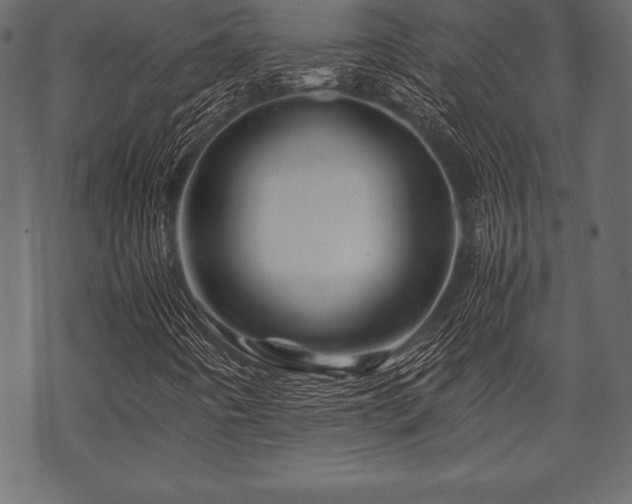 X0000070191442200605301301